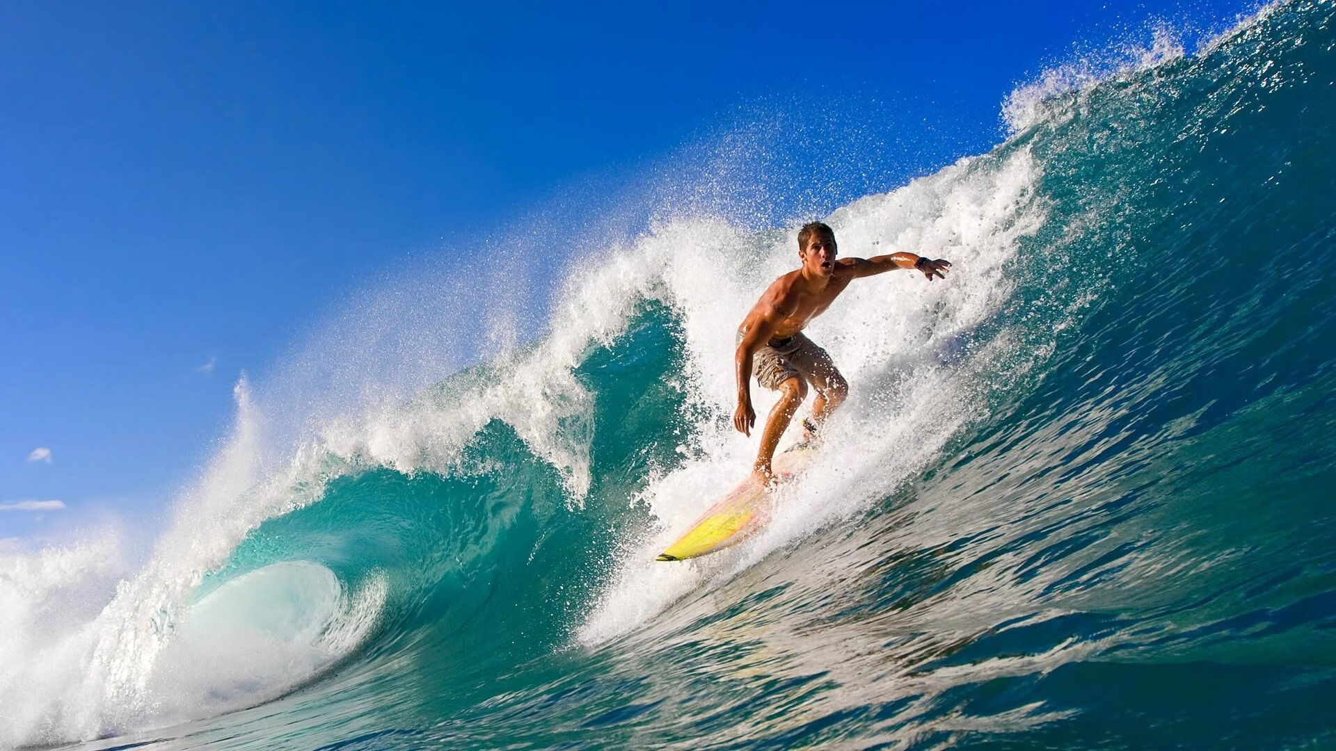 特色民俗运动：传统技艺的现代展现，特色民俗活动介绍